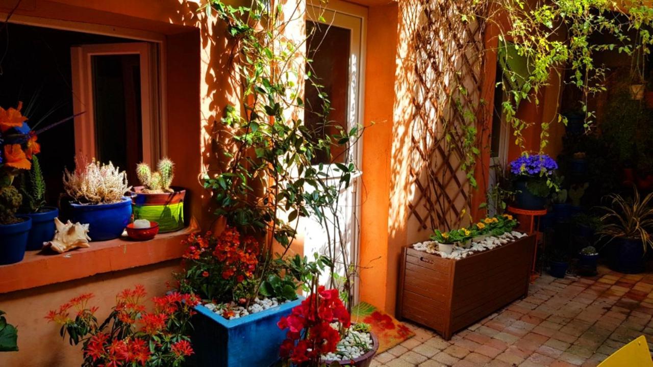 נים Petit Patio En Centre Ville מראה חיצוני תמונה