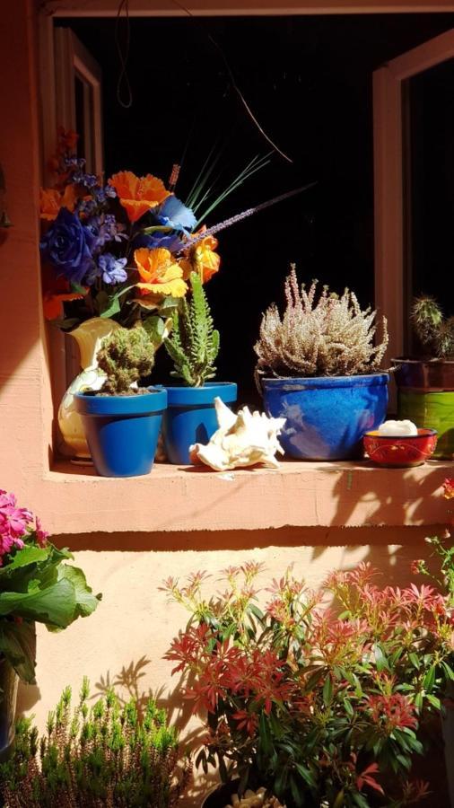 נים Petit Patio En Centre Ville מראה חיצוני תמונה