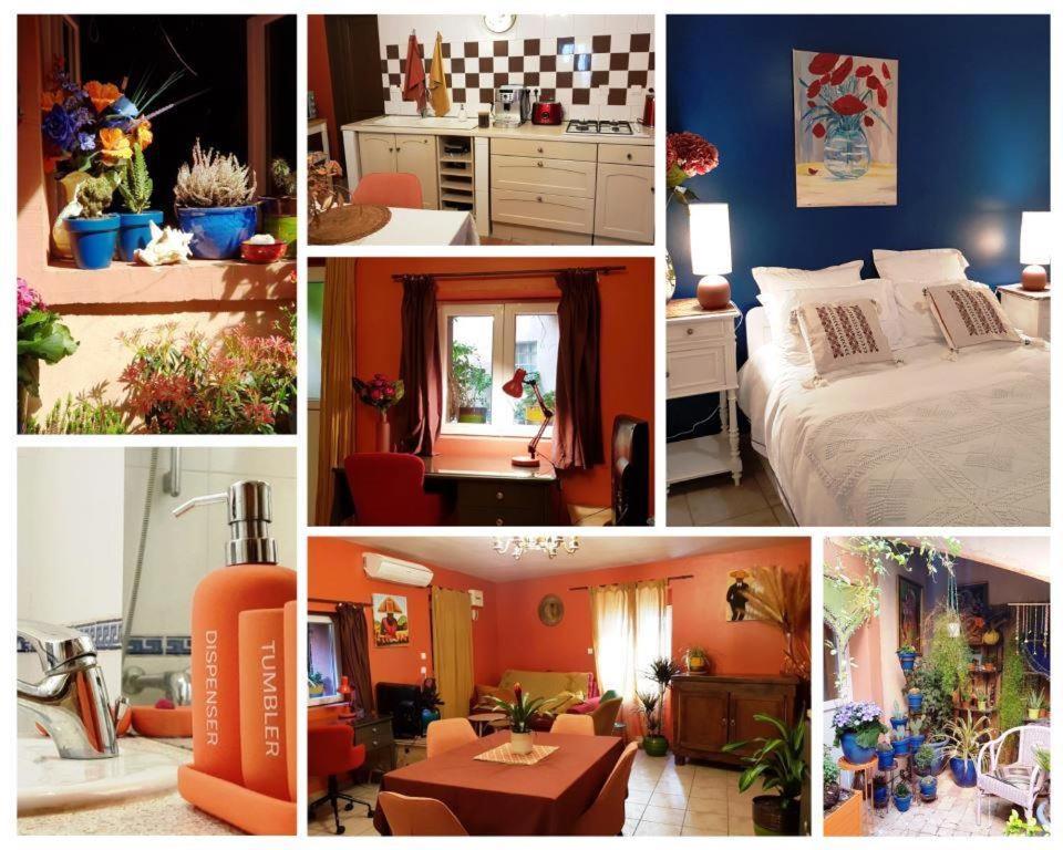 נים Petit Patio En Centre Ville מראה חיצוני תמונה